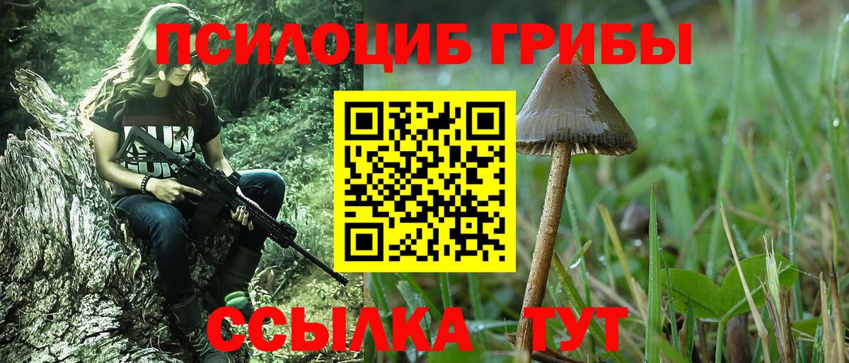 где купить наркоту  Псилоцибиновые грибы GOLDEN TEACHER  Вход с VPN  Строитель 