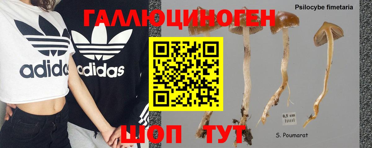 Галлюциногенные грибы MAGIC MUSHROOMS Строитель
